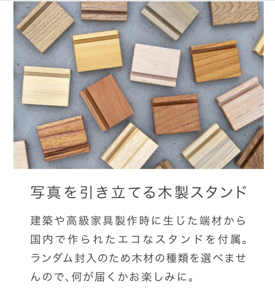 植物人間カレンダー2024 卓上タイプ