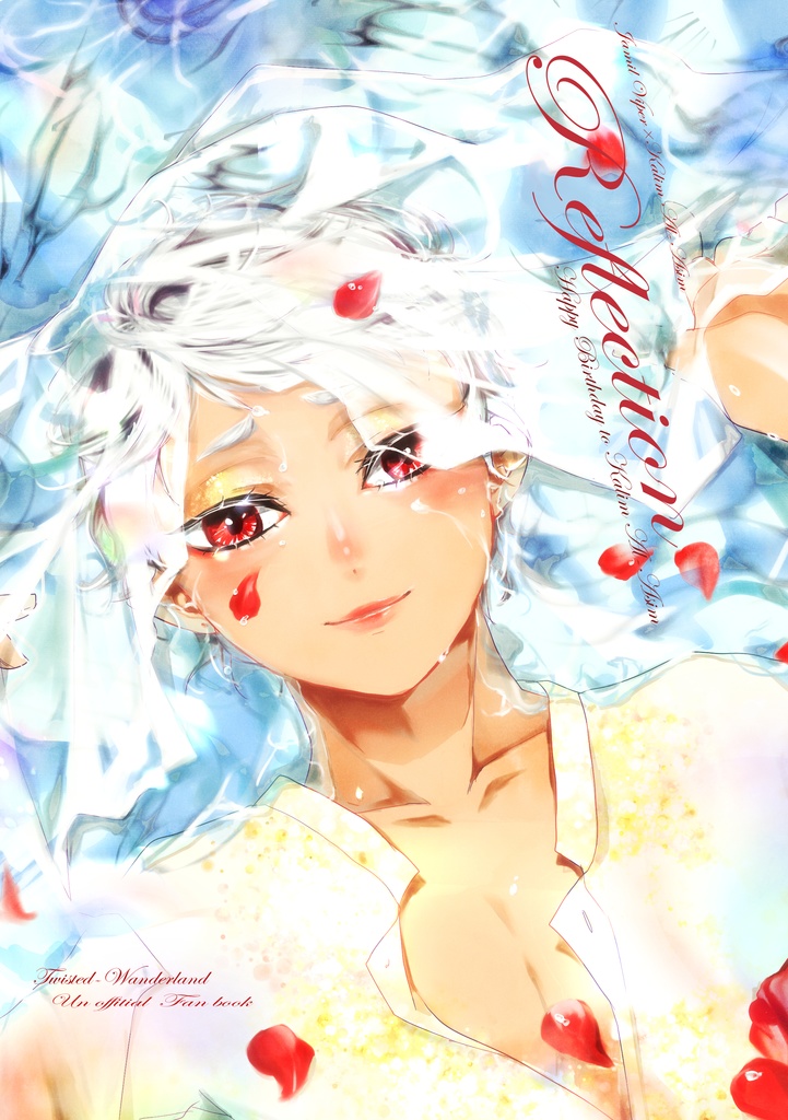 Reflection【ジャミカリ】