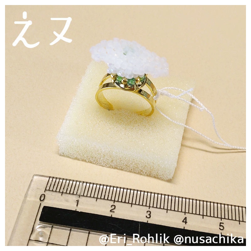 【えヌ】寿司リング