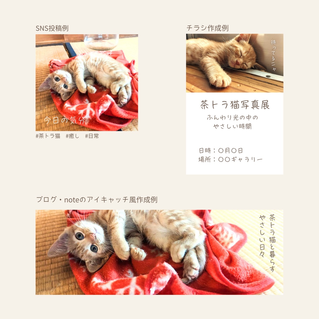 ふわふわ茶トラのやさしい時間(10枚セット)