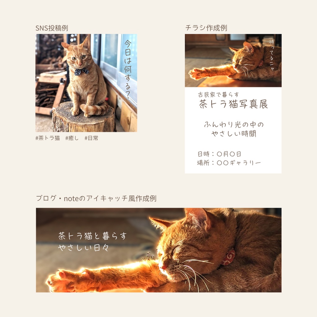 古民家で暮らす茶トラの、やさしい日々。(15枚セット)