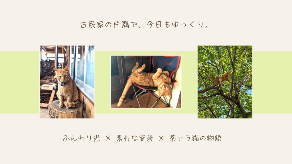 古民家で暮らす茶トラの、やさしい日々。(15枚セット)