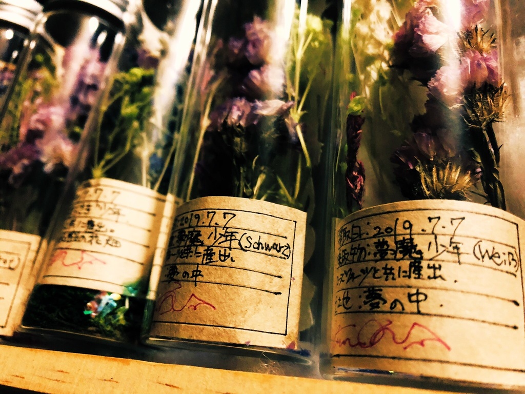 少年標本 ※10/12新作追加