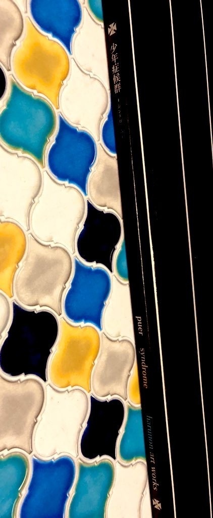 画集「少年症候群ーシンドロームー」※残少