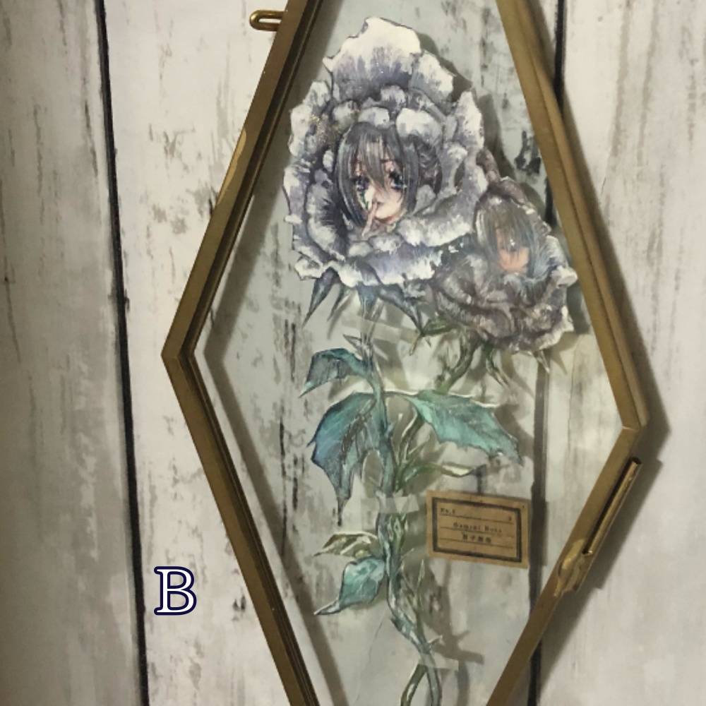 「標本」「瞳」テーマの原画- 11点