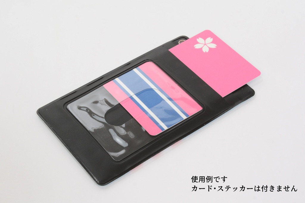 パスケース レビュー服イメージ