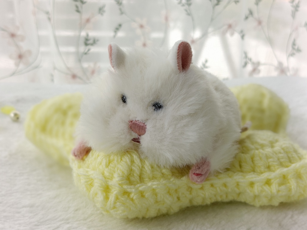【9/25通販開始】ゆめみごこちお星さまクッションラグ ぬい活 はむにぎり ちびぐるみ にじぱぺ