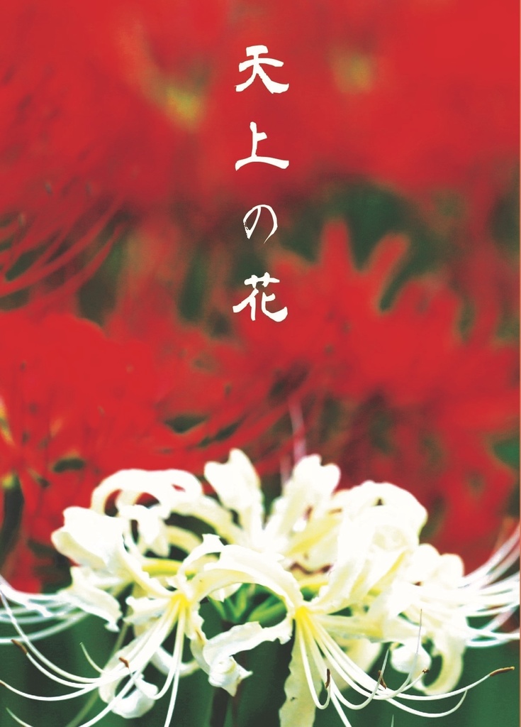 天上の花