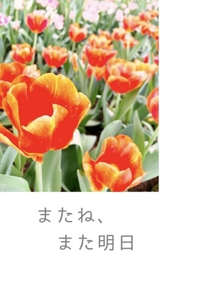 【小説】竹綾「またね、また明日」