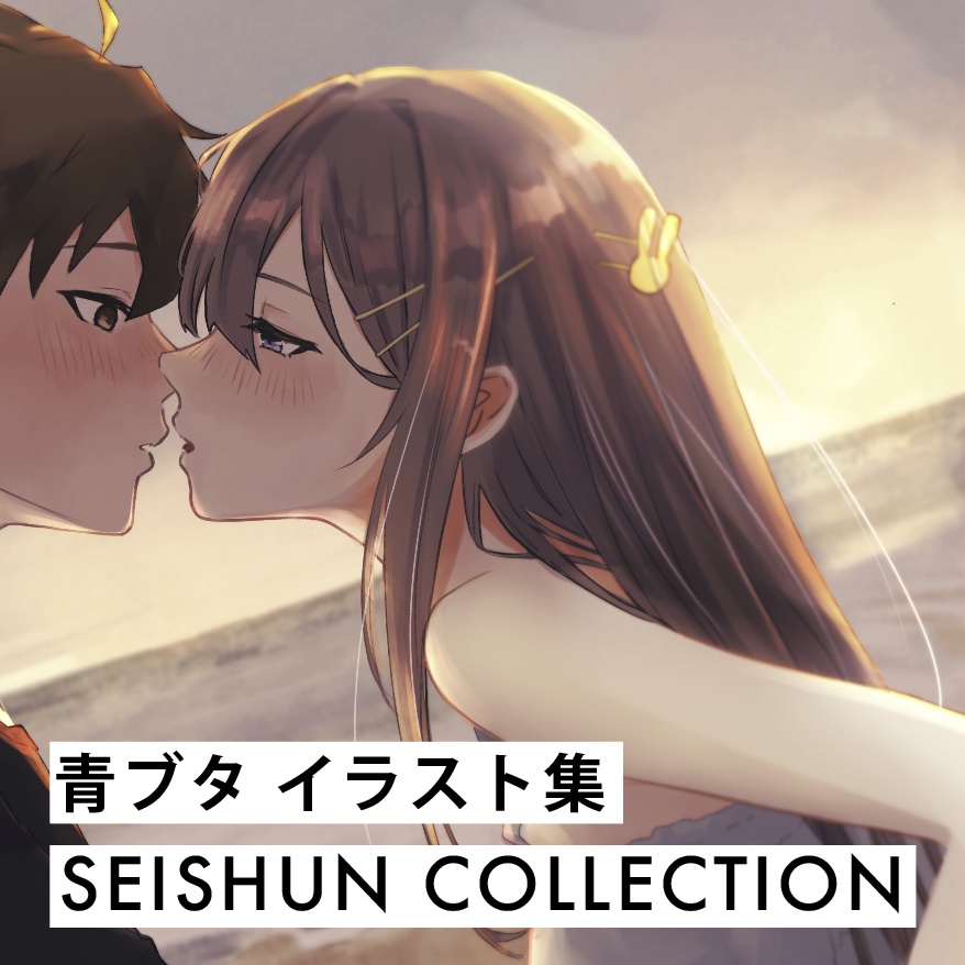 SEISHUNCOLLECTION【 再販 】