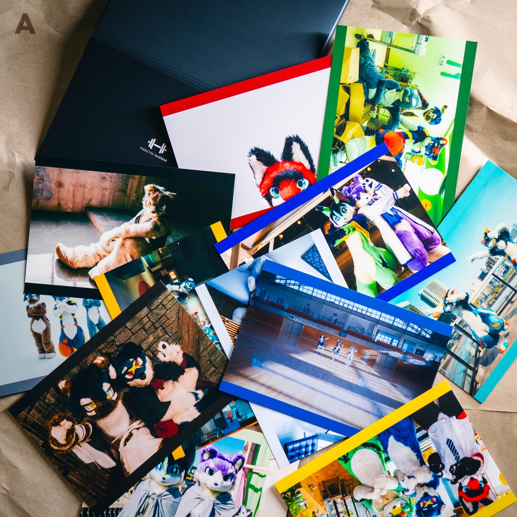 サムネイルポストカードセット 2024