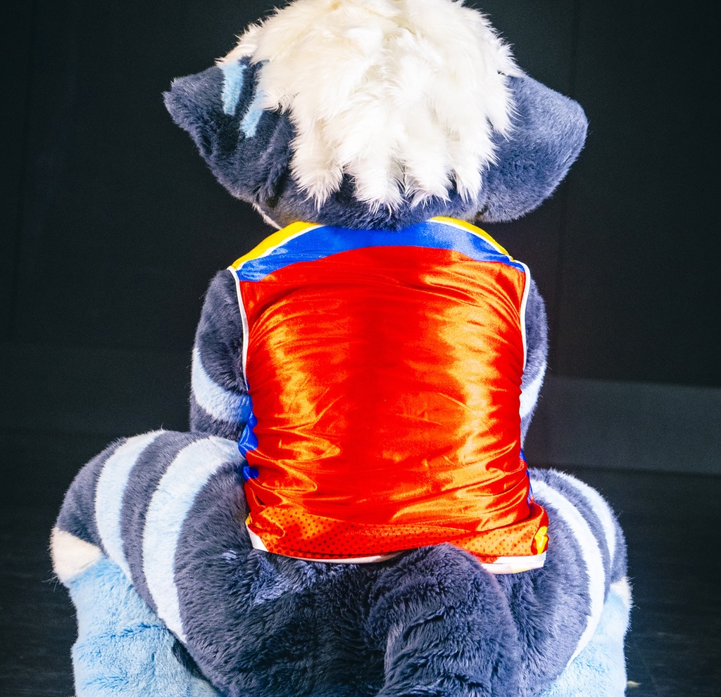 【期間限定受注生産】PDTIK オリジナルユニフォーム