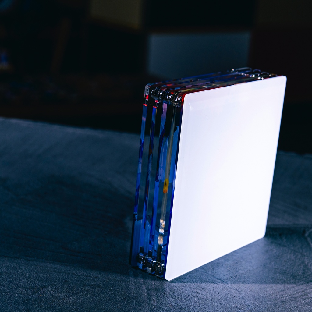 リオンネムス誕