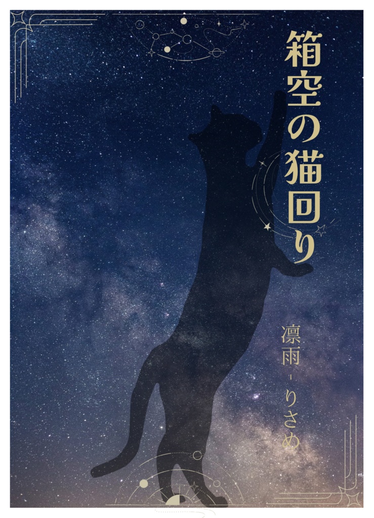箱空の猫回り