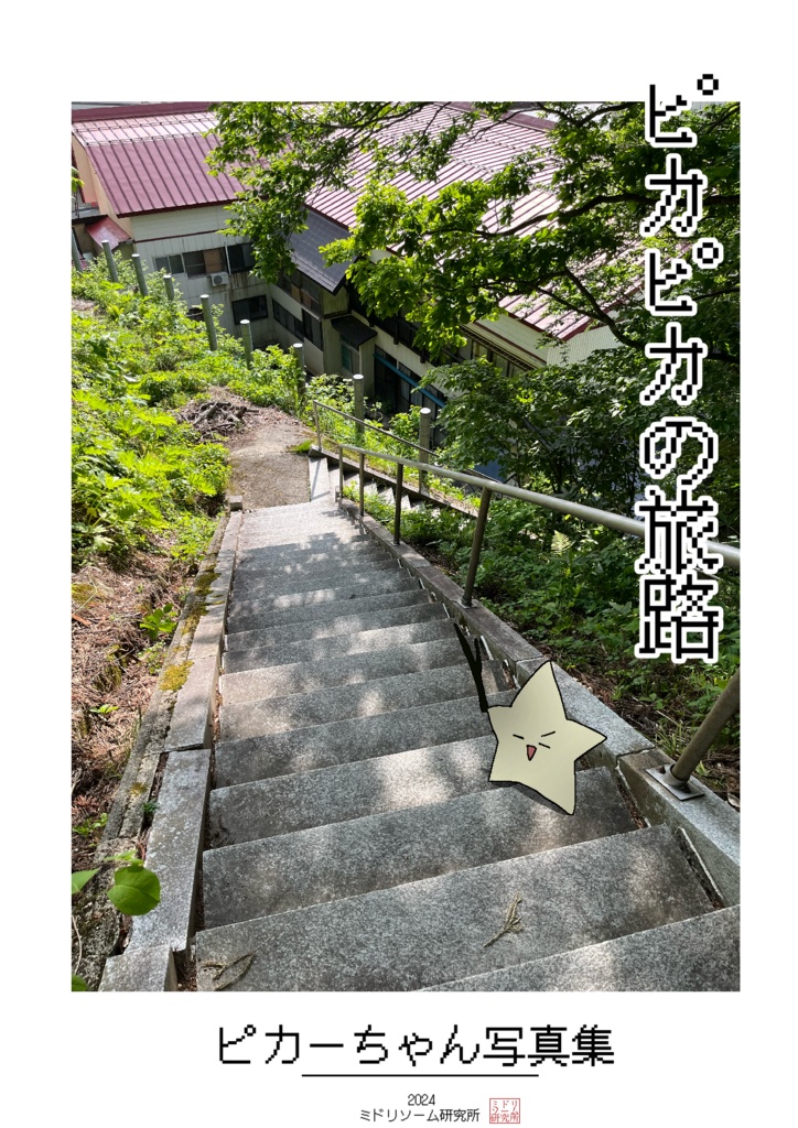 ピカーちゃん写真集「ピカピカの旅路」