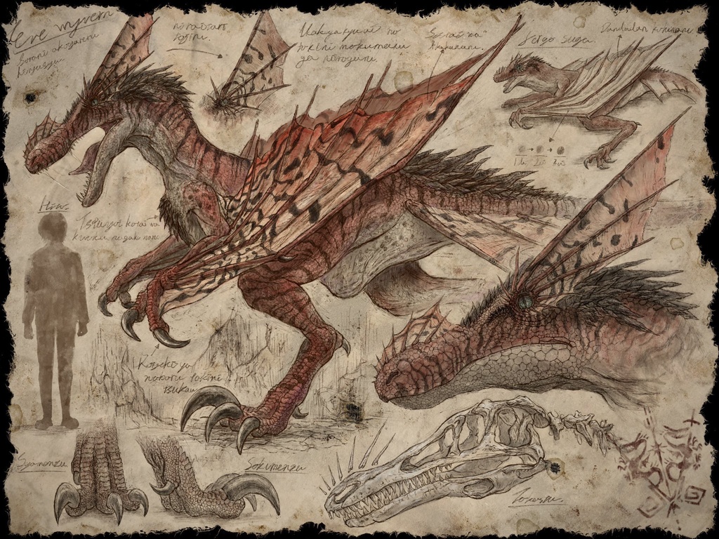 幻獣調査書 『イヴ・ワイバーン』