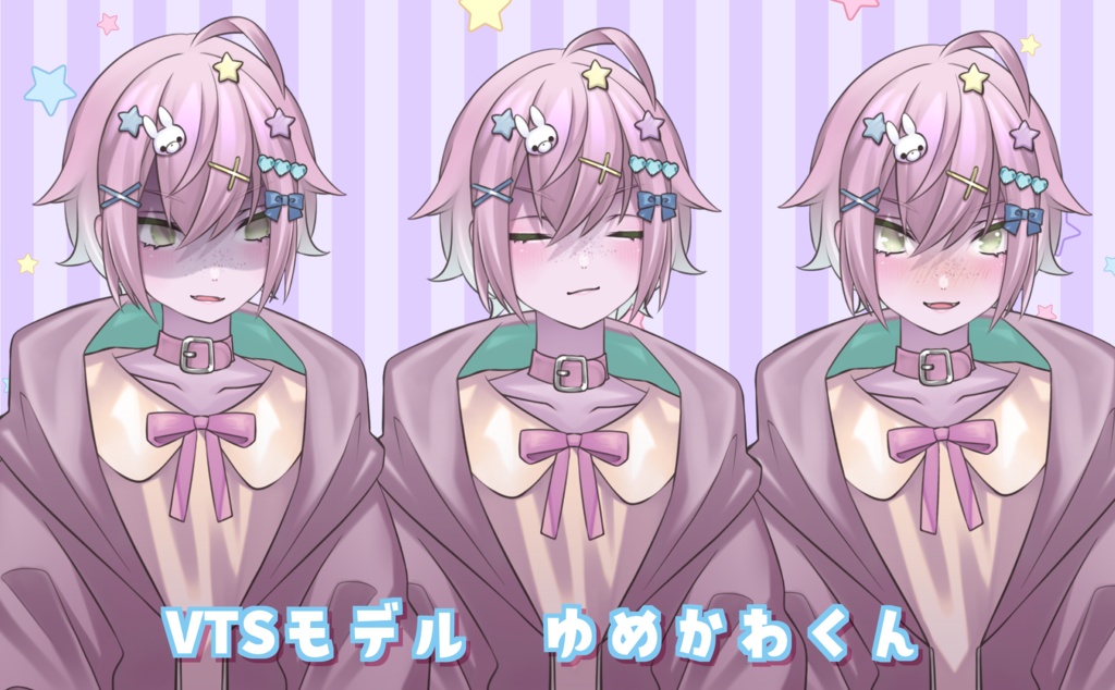 live2dモデル_VTS専用_ピンクくん