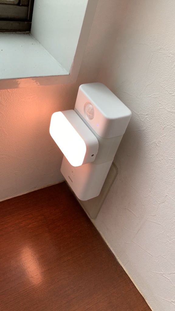 amazon echo flex用 USBハブ