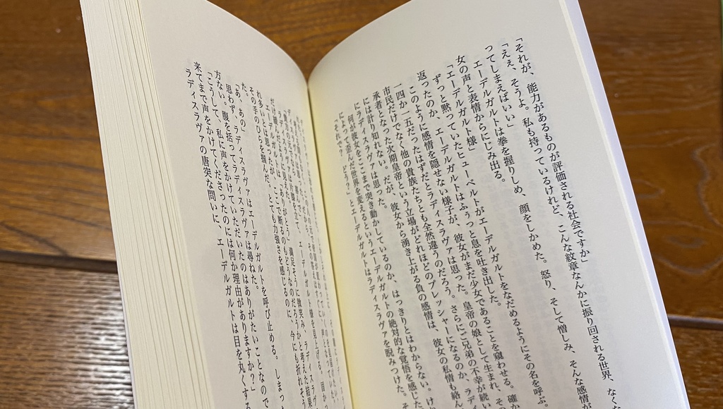 赤き戦乙女の記憶