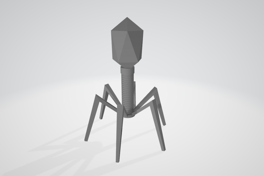 T2ファージ　3Dモデル