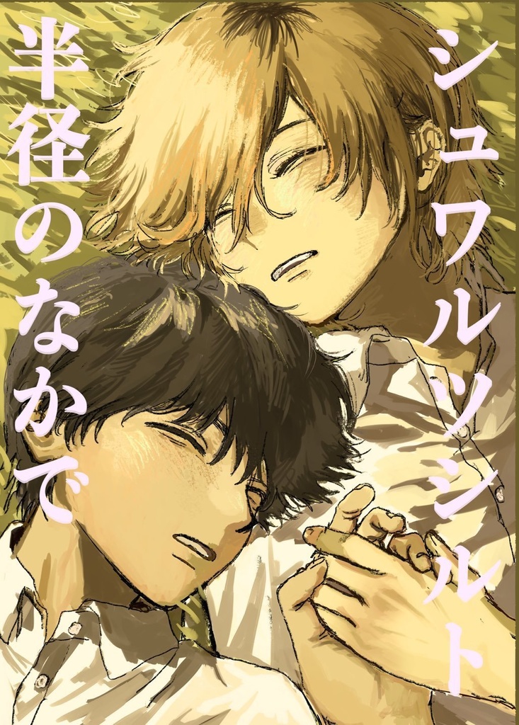 シュワルツシルト半径のなかで