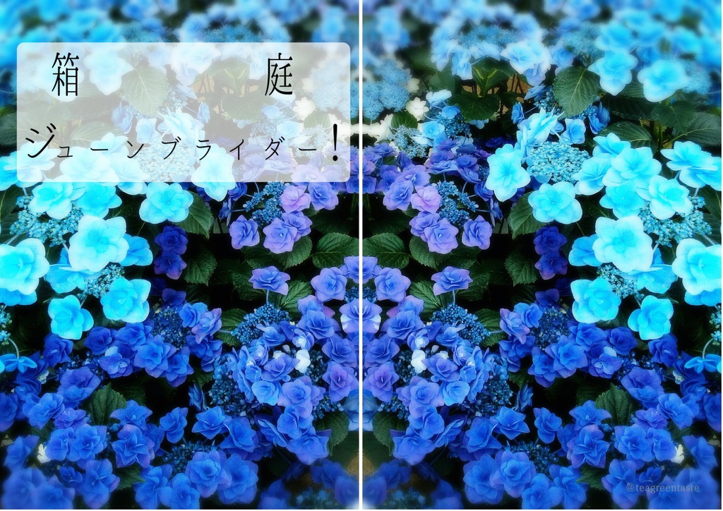 箱庭ジューンブライダー！