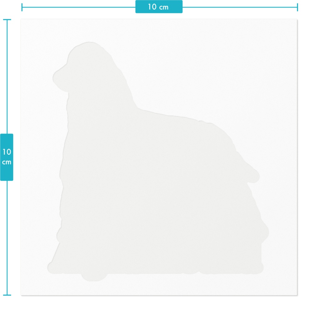花ワンコ アフガンハウンド