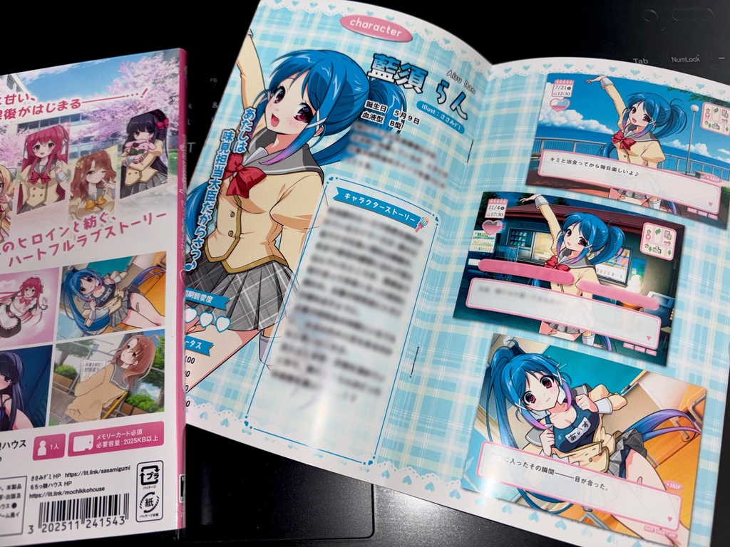 架空のギャルゲー本『Highschool♡SweetHeart』