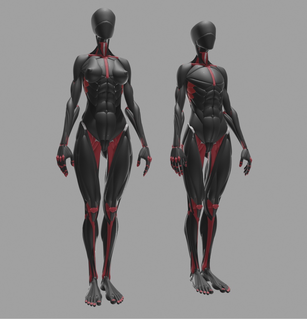 ケロロケ美術解剖学モデル