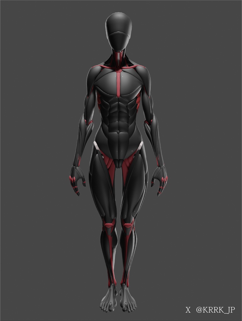 ケロロケ美術解剖学モデル