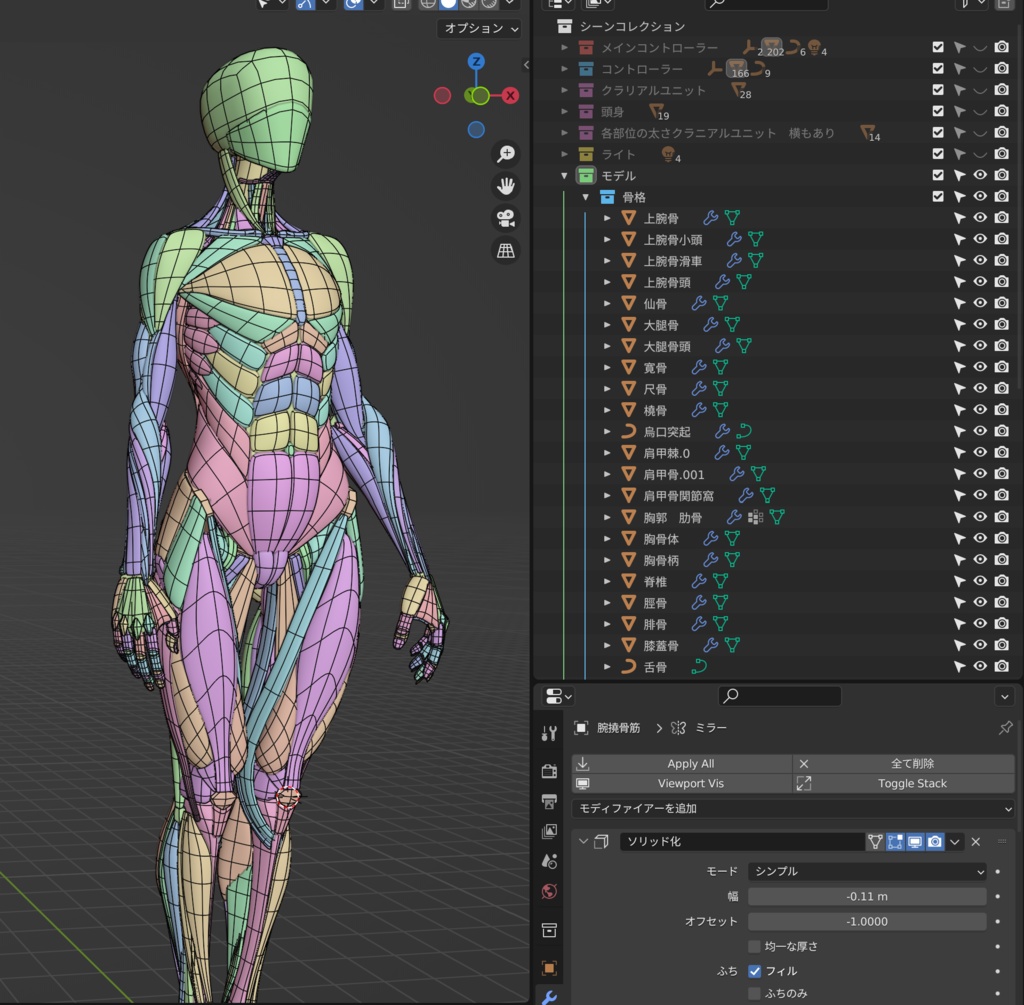 ケロロケ美術解剖学モデル
