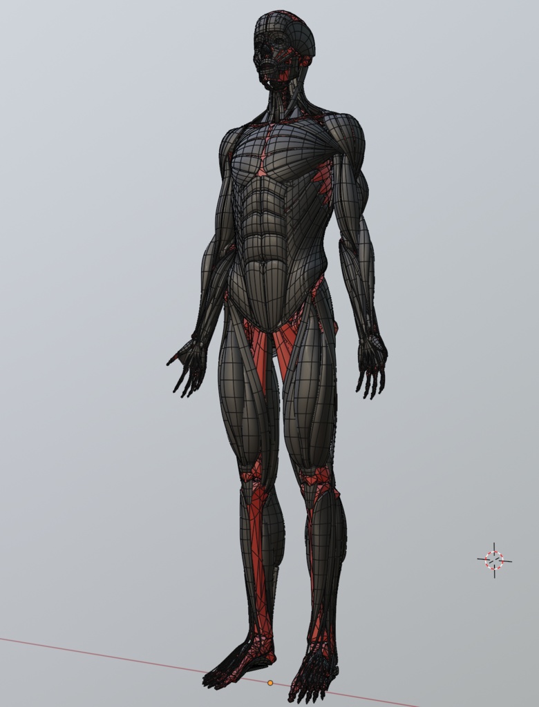 昔作った男の美術解剖学モデル