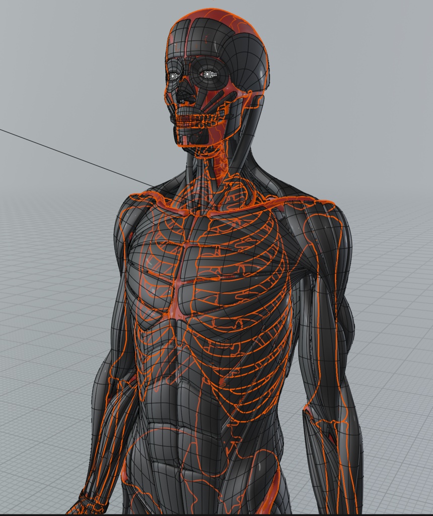 昔作った男の美術解剖学モデル