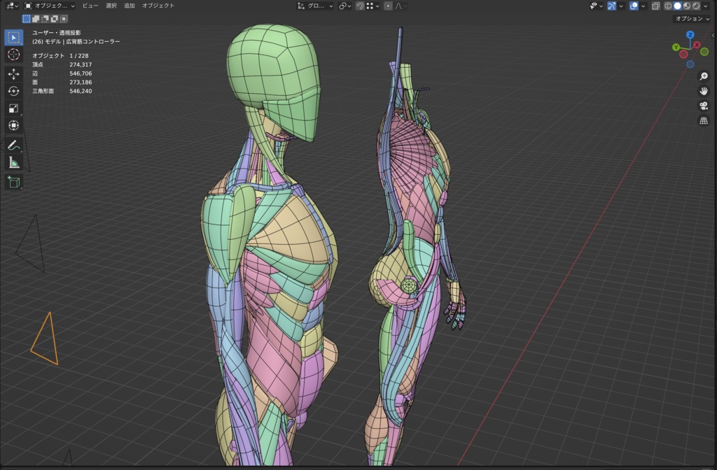 KRRK anatomy model