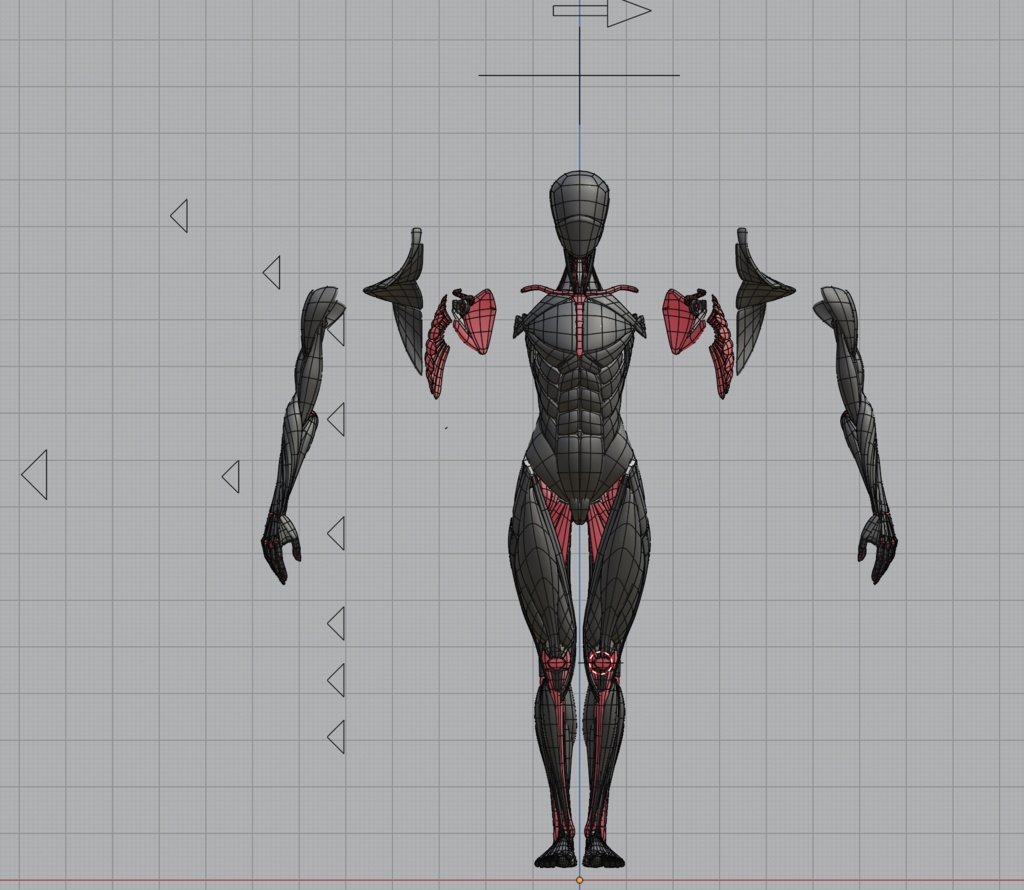 KRRK anatomy model