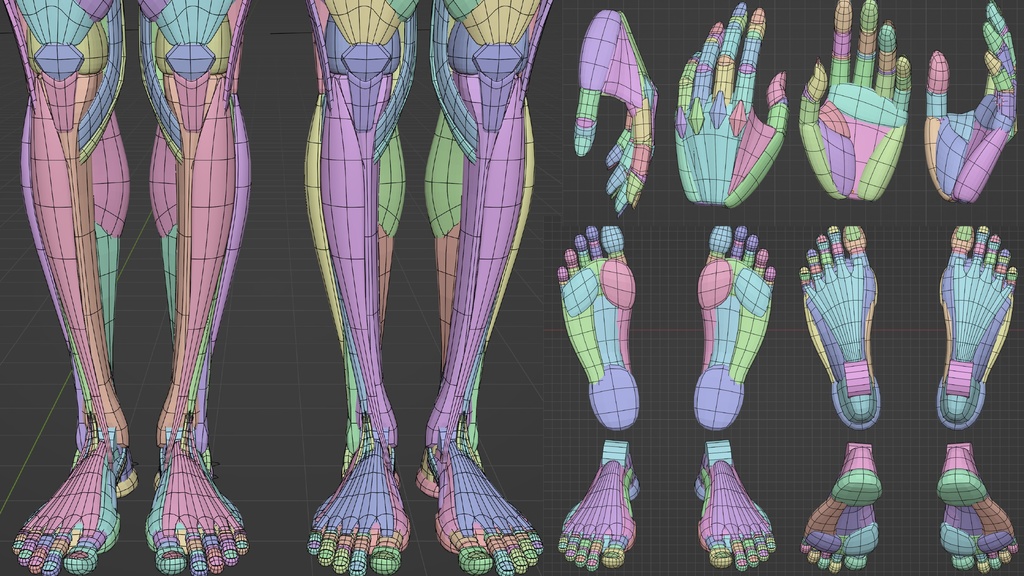 KRRK anatomy model