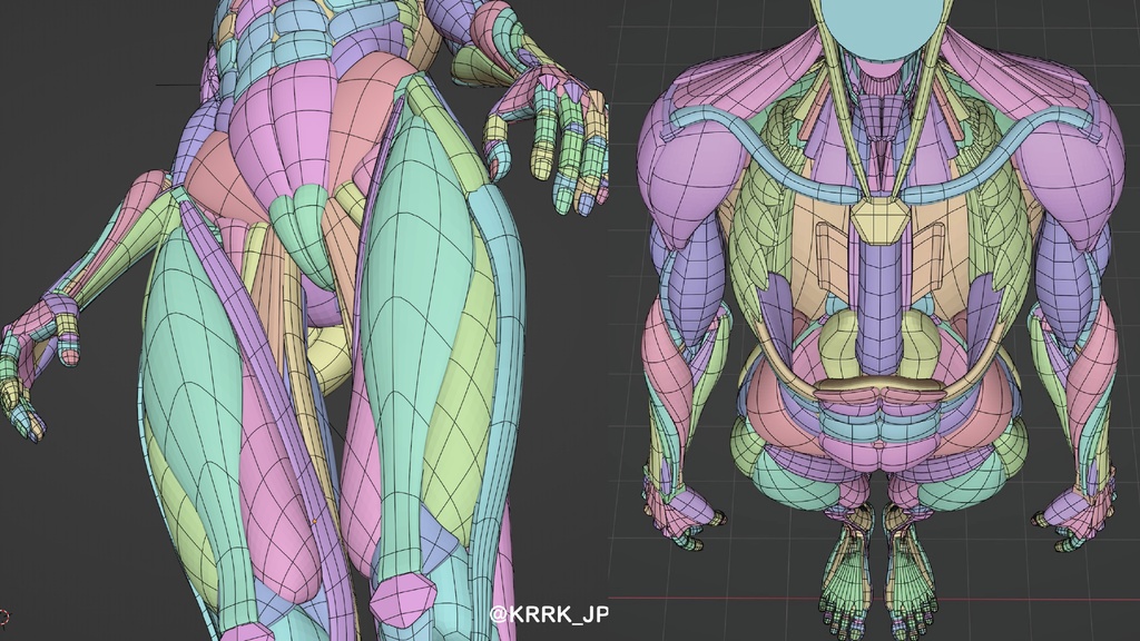 KRRK anatomy model