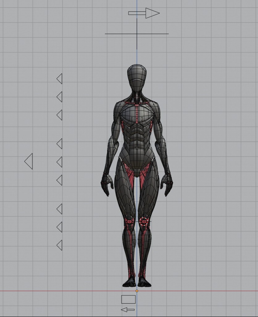 KRRK anatomy model