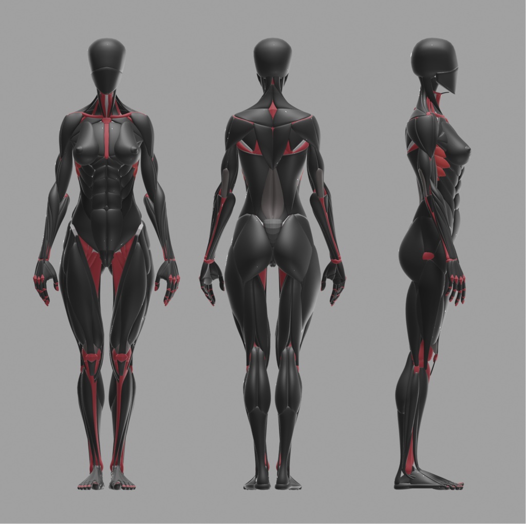 KRRK anatomy model
