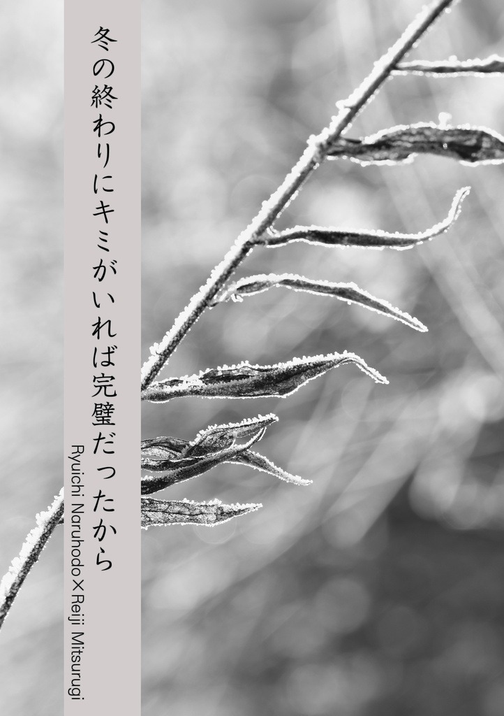 冬の終わりにキミがいれば完璧だったから