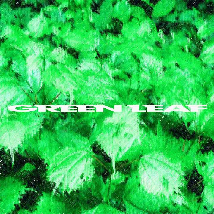 green leaf