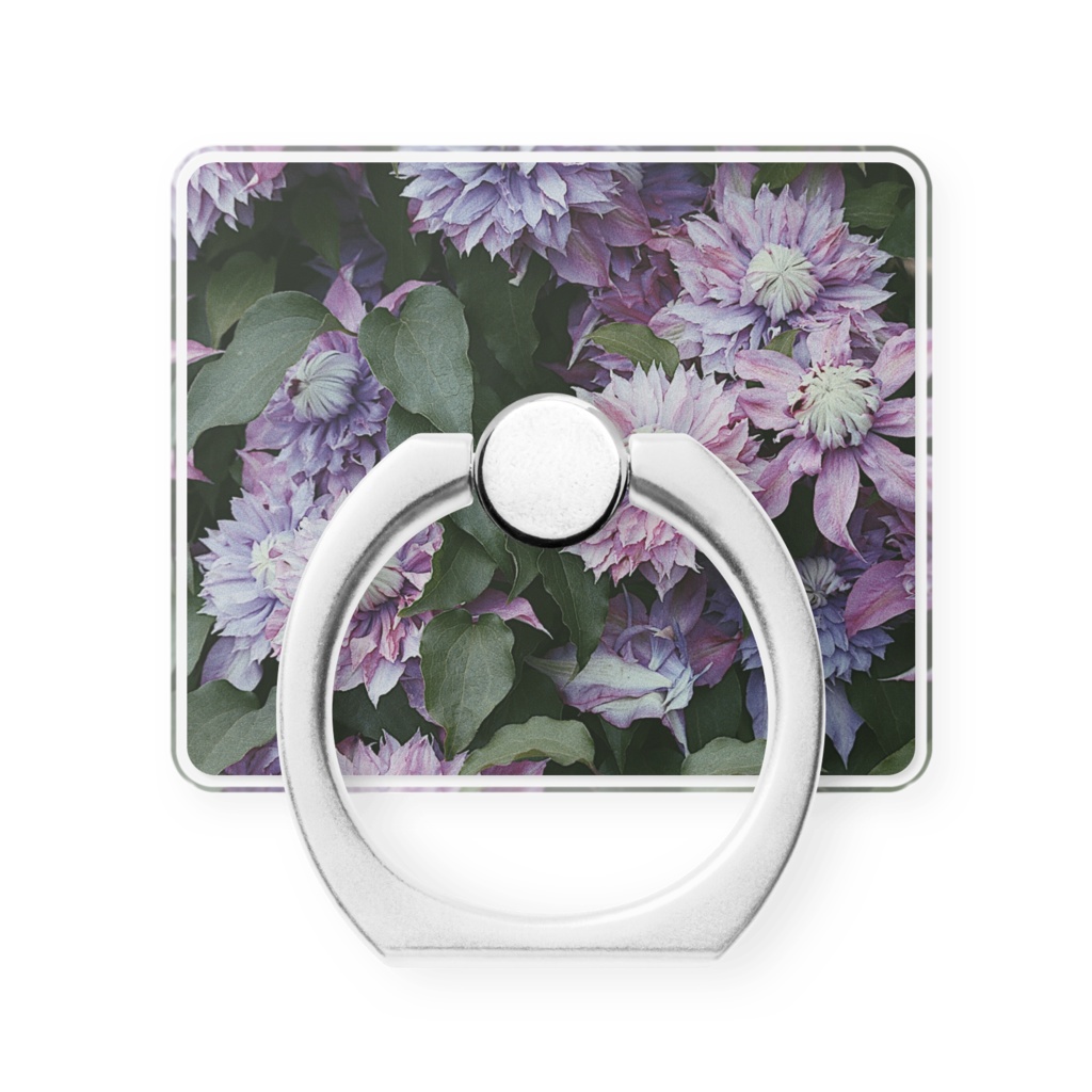 紫の花