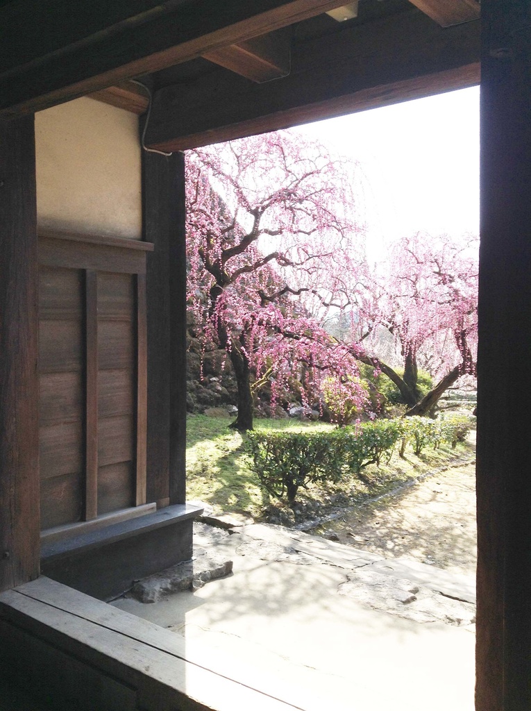 【高知城】素材写真集