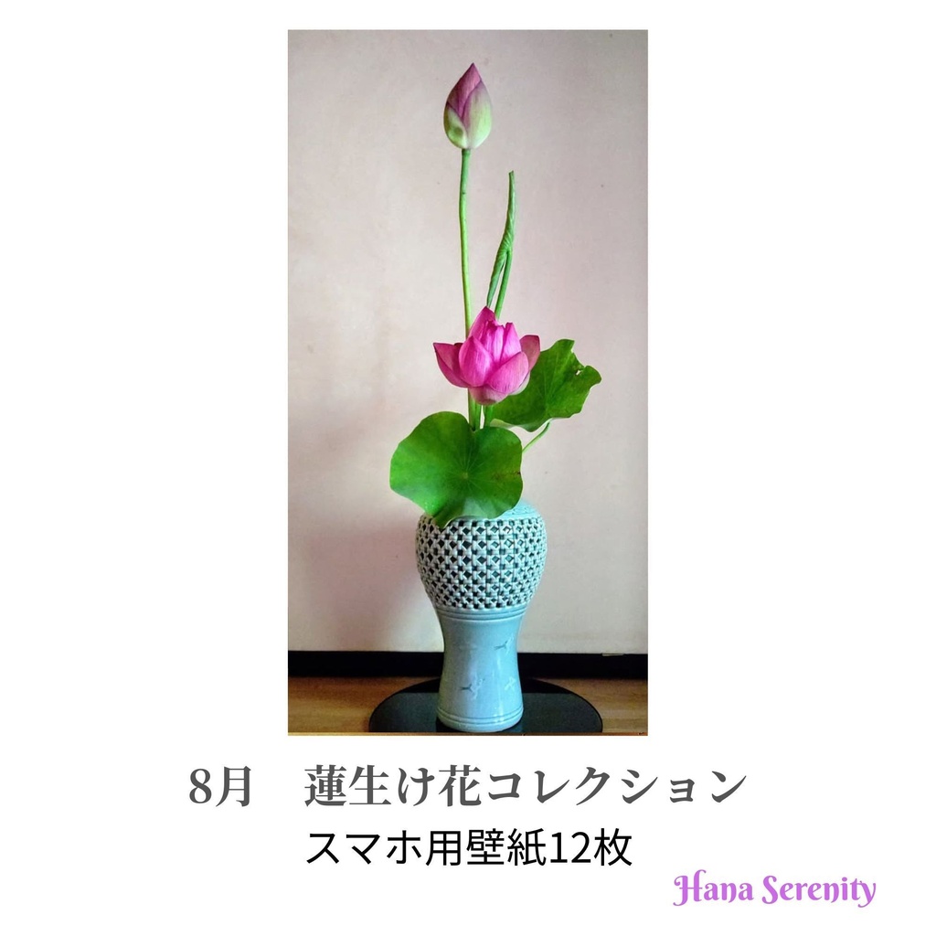 8月蓮生け花&蓮田風景壁紙コレクション