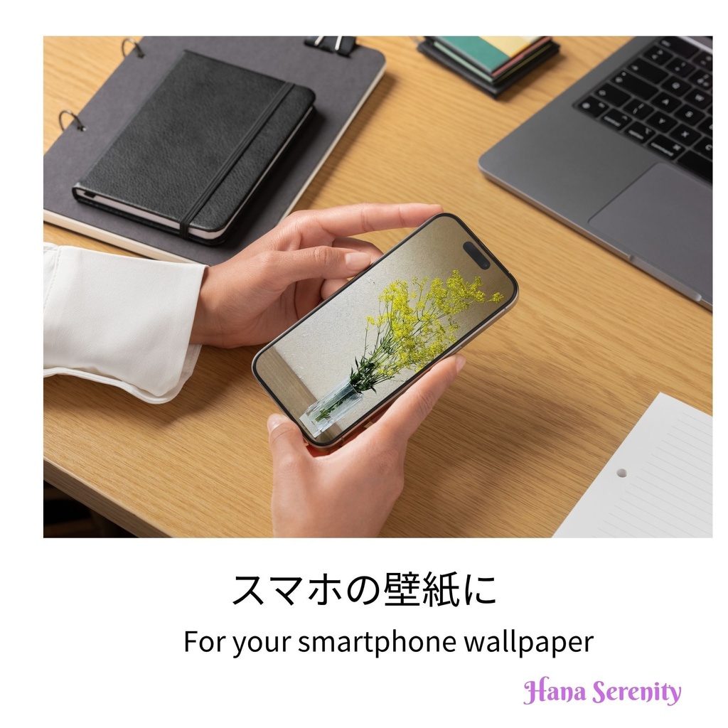 8月蓮生け花&蓮田風景壁紙コレクション
