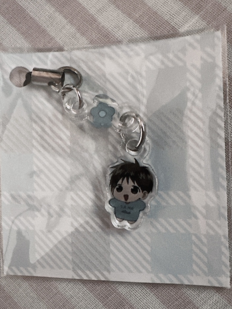 アクキーミニ