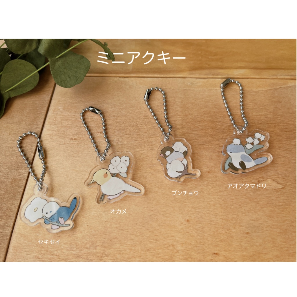 ミニアクキー