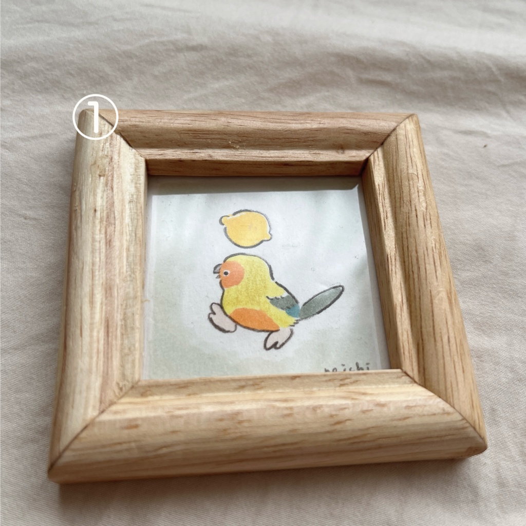 ミニ原画 コガネメキシコインコ