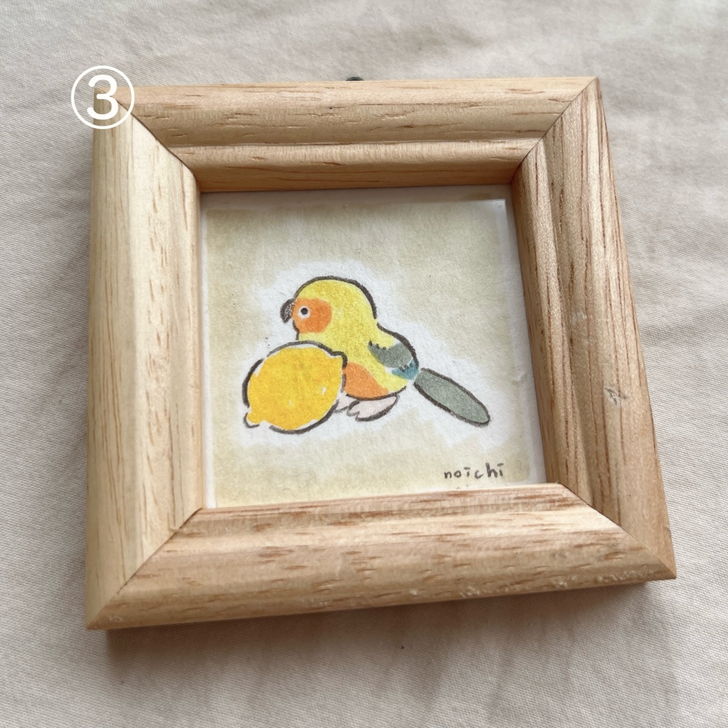 ミニ原画 コガネメキシコインコ