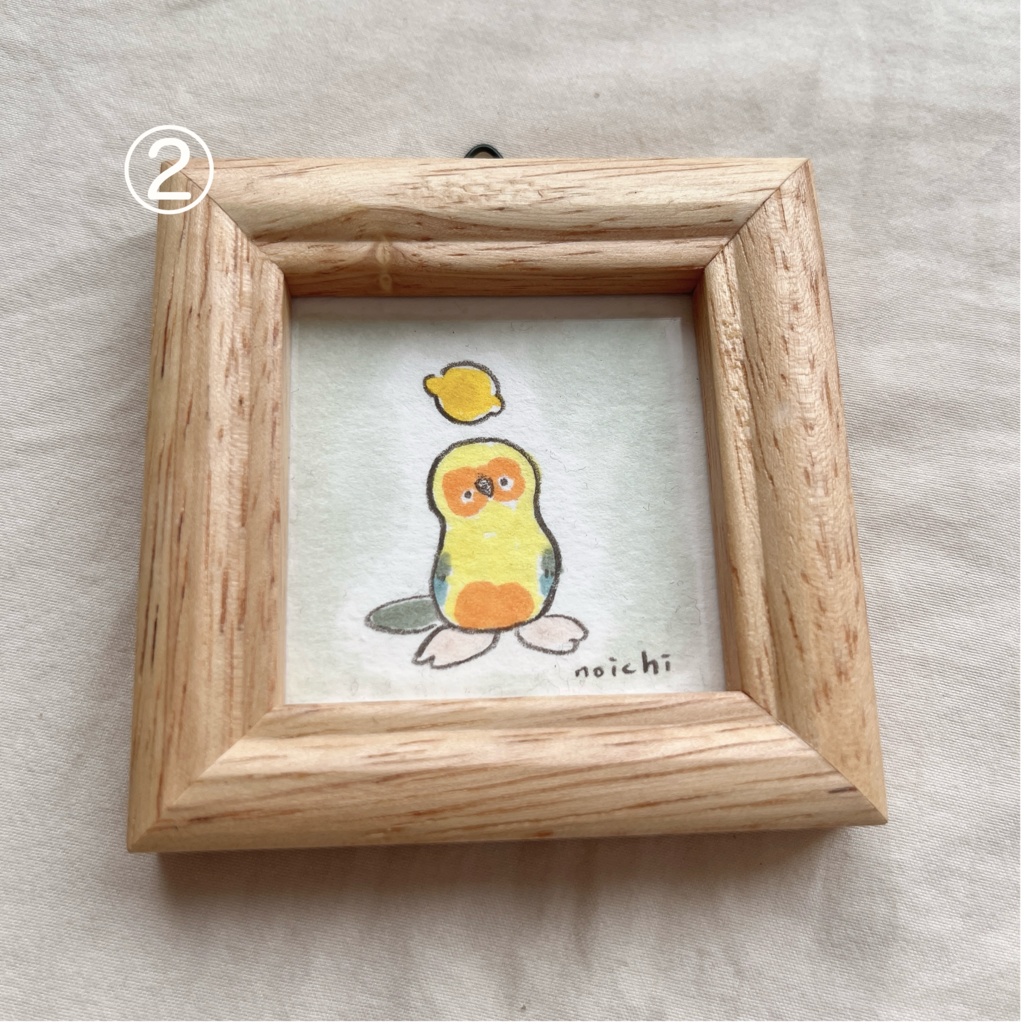 ミニ原画 コガネメキシコインコ